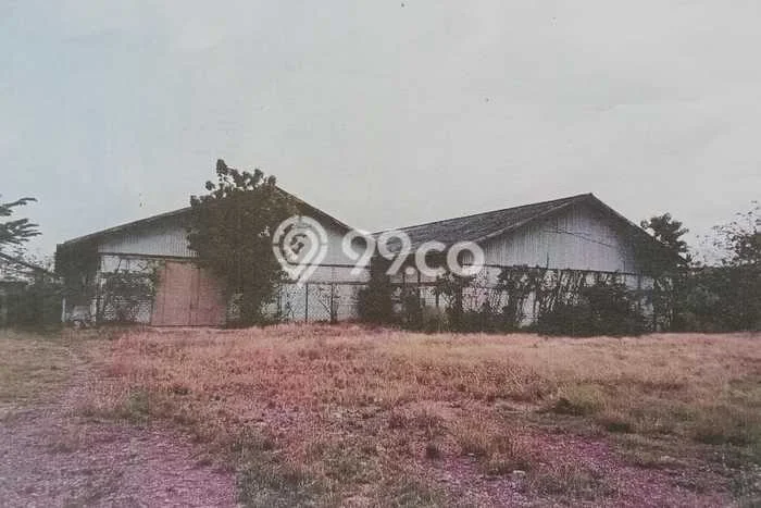 Tanah Dijual Lokasi Babat, Lamongan Luas 18921m2 Legalitas Aman Tanah Dijual Lokasi Babat, Lamongan Luas 18921m2 Legalitas Aman