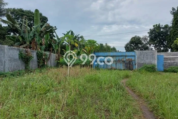Area Ramai! Gudang Dijual di Deli Tua untuk Bisnis Luas Bangunan 720m2 Area Ramai! Gudang Dijual di Deli Tua untuk Bisnis Luas Bangunan 720m2