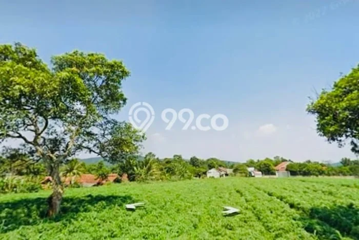 LOKASI STRATEGIS! Tanah Kawasan Parung, Luas 3000m2m², Lokasi Berkembang, Cocok untuk Investasi LOKASI STRATEGIS! Tanah Kawasan Parung, Luas 3000m2m², Lokasi Berkembang, Cocok untuk Investasi