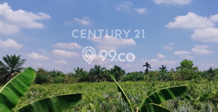Tanah Kavling Dijual di Pontianak dengan Spesifikasi 12m2 Tanah Kavling Dijual di Pontianak dengan Spesifikasi 12m2