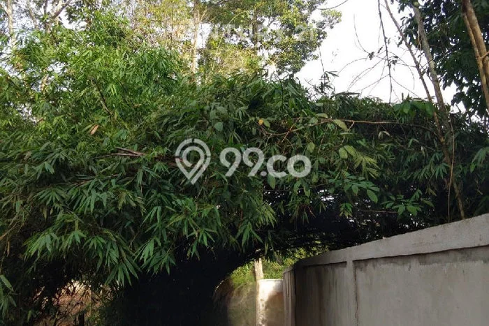 Tanah Dijual Lokasi Strategis di Pontianak dengan Luas 4634m2 Tanah Dijual Lokasi Strategis di Pontianak dengan Luas 4634m2