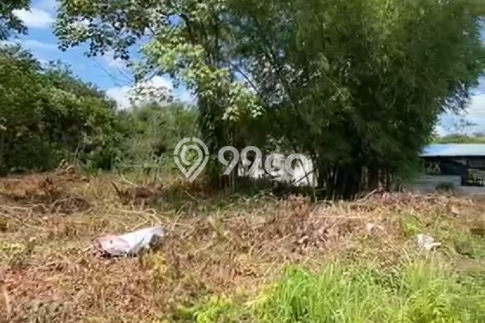 Kavling Tanah Dijual di Kubu Kubu Raya Spesifikasi 9555m2 Kavling Tanah Dijual di Kubu Kubu Raya Spesifikasi 9555m2