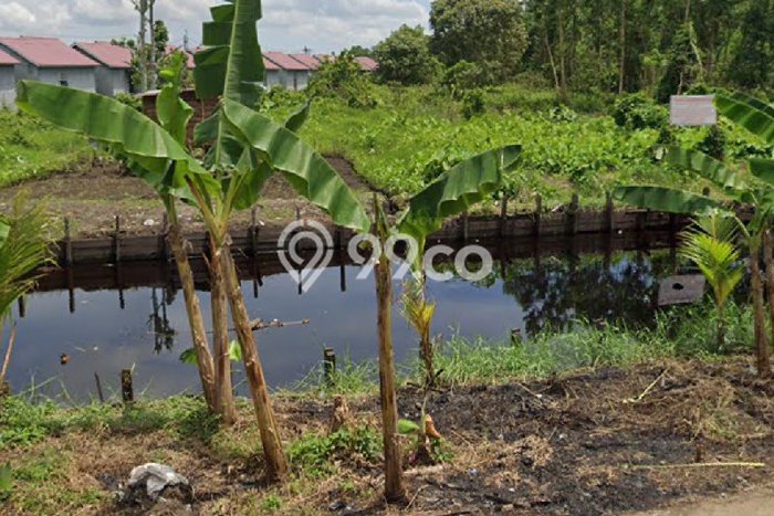 Dijual Tanah Lokasi Siantan, Pontianak Seluas 15663m2 Dijual Tanah Lokasi Siantan, Pontianak Seluas 15663m2