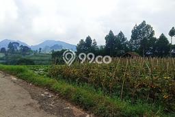 Tanah di , Luas 2689m2m², Dekat Pusat Kota, Prospek Bagus Tanah di , Luas 2689m2m², Dekat Pusat Kota, Prospek Bagus