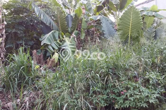 Tanah Dijual Lokasi Sawangan Depok SHM Tanah Dijual Lokasi Sawangan Depok SHM
