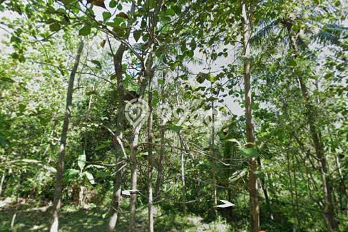 Untuk Dijual Tanah di Pengasih Kulon Progo Luas 1073m2 SHM Untuk Dijual Tanah di Pengasih Kulon Progo Luas 1073m2 SHM