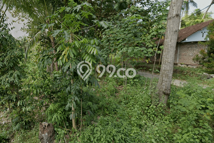 Untuk Dijual Tanah di Pengasih Kulon Progo Luas 1073m2 SHM Untuk Dijual Tanah di Pengasih Kulon Progo Luas 1073m2 SHM