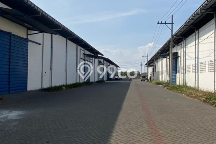 Unit Gudang Paling Strategis di Wringinanom Gresik dengan LB 3000m2 Unit Gudang Paling Strategis di Wringinanom Gresik dengan LB 3000m2
