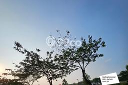 Dijual Tanah 4200m2 di BSD City, Tangerang Dijual Tanah 4200m2 di BSD City, Tangerang