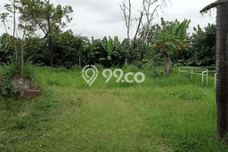 Dijual Tanah di Bandung, Luas 3000m2 SHM Dijual Tanah di Bandung, Luas 3000m2 SHM
