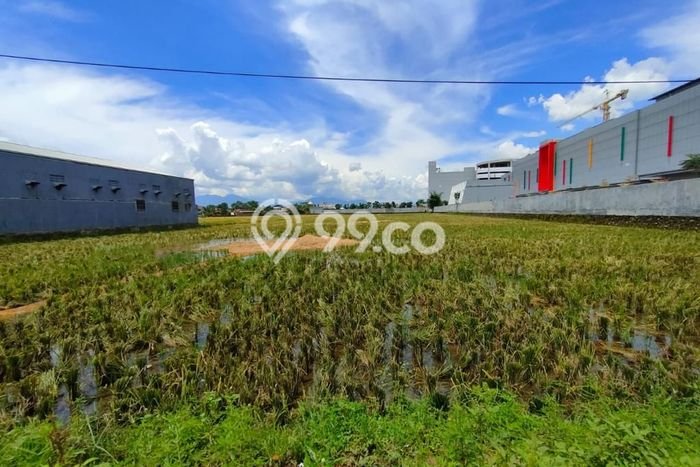 Tanah Dijual Lokasi Majalaya, Bandung Luas 10000m2 Legalitas Aman Tanah Dijual Lokasi Majalaya, Bandung Luas 10000m2 Legalitas Aman