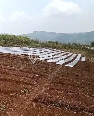 Tanah Kavling Dijual di Cianjur dengan Spesifikasi 80000m2 Tanah Kavling Dijual di Cianjur dengan Spesifikasi 80000m2