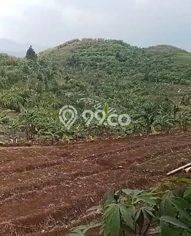 Tanah Kavling Dijual di Cianjur dengan Spesifikasi 80000m2 Tanah Kavling Dijual di Cianjur dengan Spesifikasi 80000m2