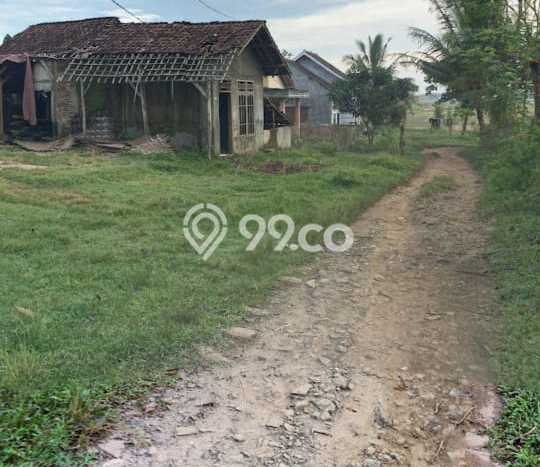 Lahan Kosong Dijual di Serang dengan Area 100000m2 Lahan Kosong Dijual di Serang dengan Area 100000m2