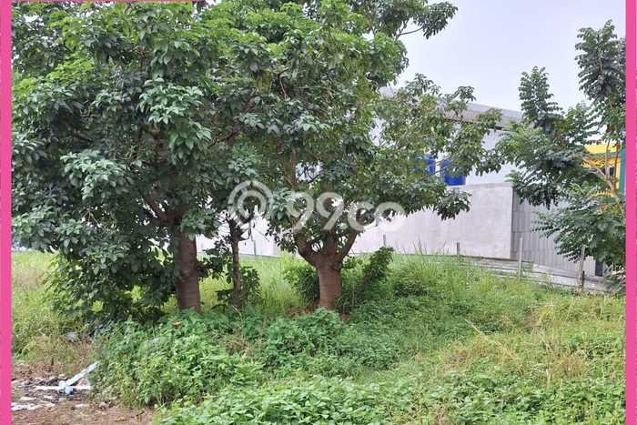 Tanah Kavling Dijual di Depok dengan Spesifikasi 1182m2 Tanah Kavling Dijual di Depok dengan Spesifikasi 1182m2