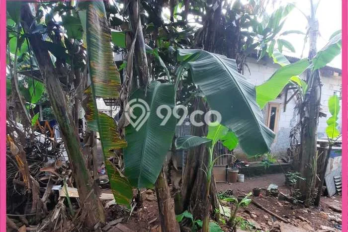 Tanah Dijual Lokasi Sawangan Depok - Tanah Dijual Lokasi Sawangan Depok -