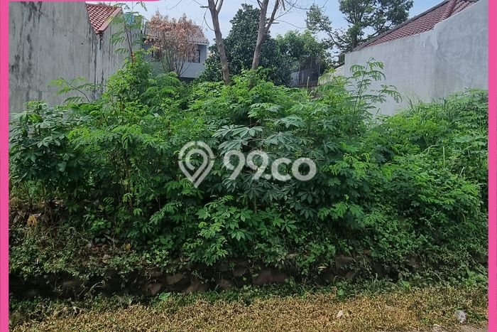 Tanah Kavling Dijual di Depok dengan Spesifikasi 300m2 Tanah Kavling Dijual di Depok dengan Spesifikasi 300m2