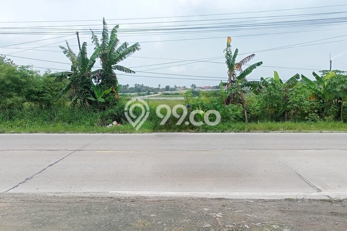 Tanah Dijual Lokasi Jawilan, Serang dengan Luas Tanah 15000m2 dan Status SHM Tanah Dijual Lokasi Jawilan, Serang dengan Luas Tanah 15000m2 dan Status SHM