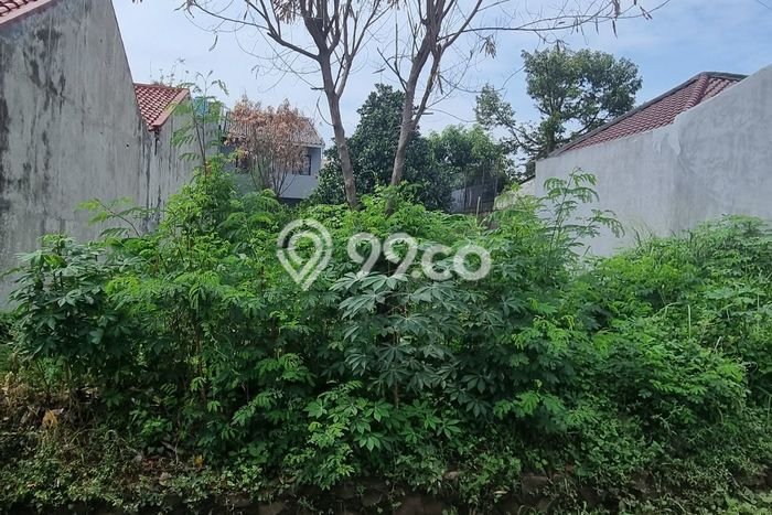 Tanah Kavling Dijual di Depok dengan Spesifikasi 300m2 Tanah Kavling Dijual di Depok dengan Spesifikasi 300m2