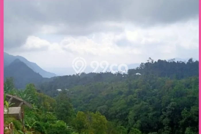 Tanah untuk Dijual Lokasi Sukasada, Buleleng Luas 65000m2 SHM Tanah untuk Dijual Lokasi Sukasada, Buleleng Luas 65000m2 SHM