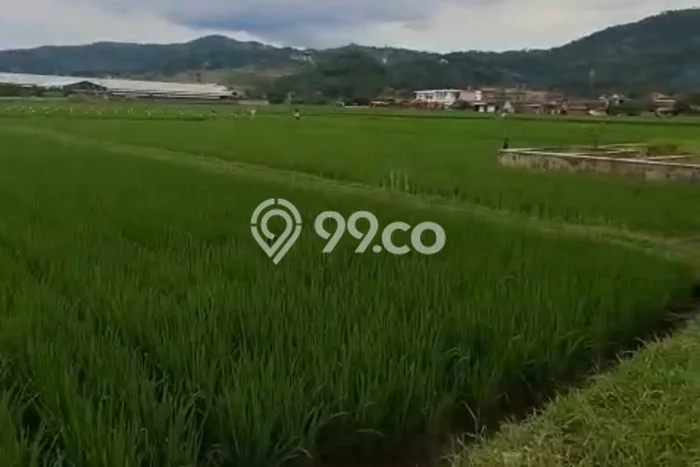Jarang Ada! Tanah di Baleendah Punya Luas 3248m2 SHM Jarang Ada! Tanah di Baleendah Punya Luas 3248m2 SHM