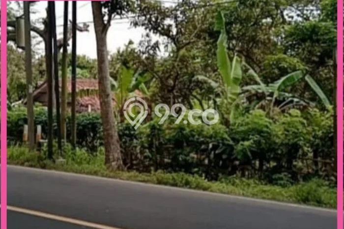 Tanah Strategis Dijual di Rangkasbitung Lebak 17547m2 Tanah Strategis Dijual di Rangkasbitung Lebak 17547m2