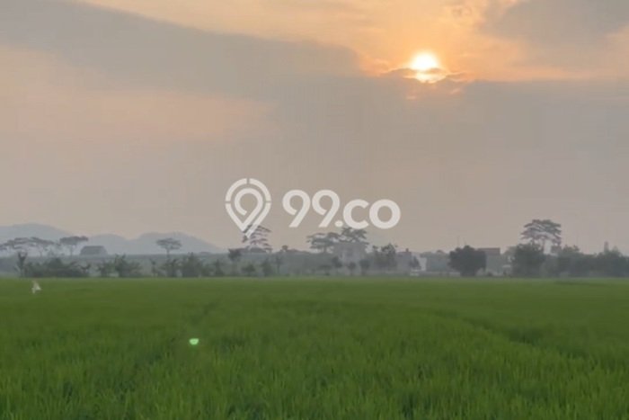 Lahan Kosong Dijual di Cicalengka, Bandung, Luas 1498m2 Area Strategis Lahan Kosong Dijual di Cicalengka, Bandung, Luas 1498m2 Area Strategis