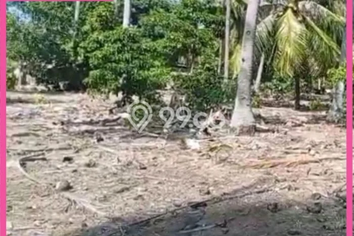 Jarang Ada! Tanah di Rote Barat Laut Punya Luas 1400m2 SHM Jarang Ada! Tanah di Rote Barat Laut Punya Luas 1400m2 SHM