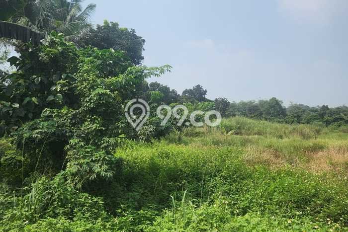 Lahan Kosong Dijual di Rumpin, Bogor, Luas 17000m2 Area Strategis Lahan Kosong Dijual di Rumpin, Bogor, Luas 17000m2 Area Strategis