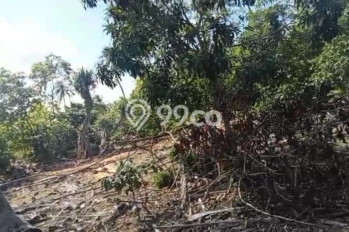 Jarang Ada! Tanah di Rote Barat Laut Punya Luas 1400m2 SHM Jarang Ada! Tanah di Rote Barat Laut Punya Luas 1400m2 SHM