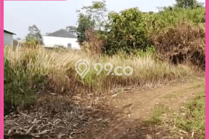 Dijual Tanah di Rangkasbitung Lebak Luas 100000m2 SHM Dijual Tanah di Rangkasbitung Lebak Luas 100000m2 SHM