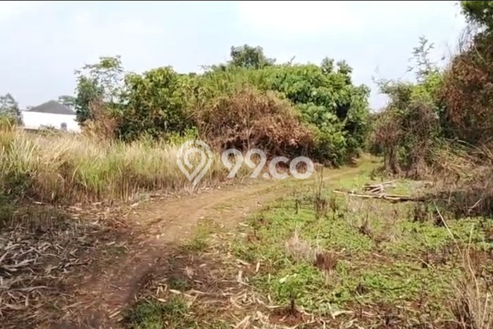 Dijual Tanah di Rangkasbitung Lebak Luas 100000m2 SHM Dijual Tanah di Rangkasbitung Lebak Luas 100000m2 SHM