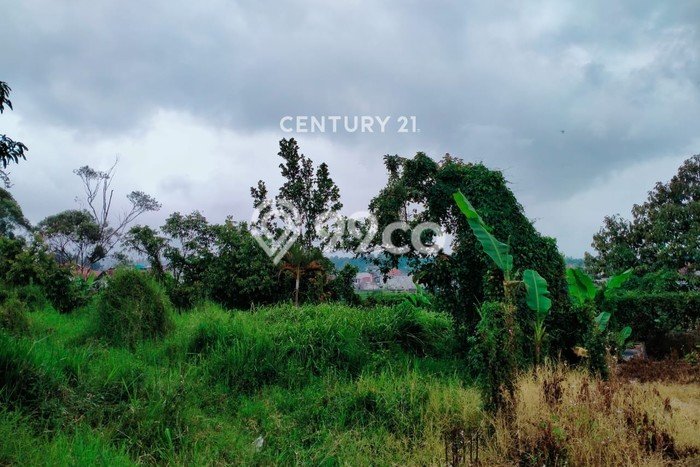 Tanah untuk Dijual Lokasi Ciwidey, Bandung Luas 226m2 SHM Tanah untuk Dijual Lokasi Ciwidey, Bandung Luas 226m2 SHM