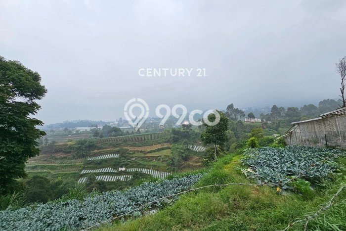 Kavling Tanah Dijual di Lembang Bandung Barat Spesifikasi 3486m2 Kavling Tanah Dijual di Lembang Bandung Barat Spesifikasi 3486m2