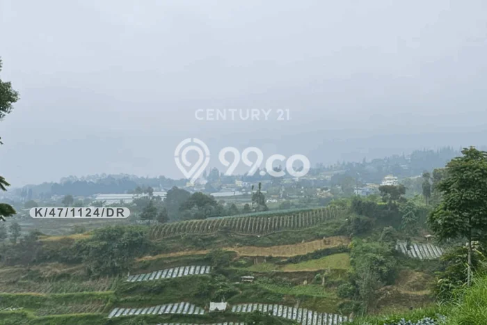 Kavling Tanah Dijual di Lembang Bandung Barat Spesifikasi 3486m2 Kavling Tanah Dijual di Lembang Bandung Barat Spesifikasi 3486m2
