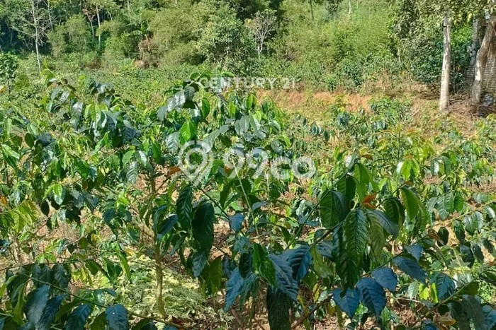 Tanah Kosong Dijual di Bandung dengan Area 1562m2 Tanah Kosong Dijual di Bandung dengan Area 1562m2