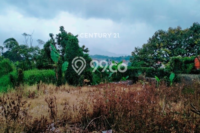 Tanah untuk Dijual Lokasi Ciwidey, Bandung Luas 226m2 SHM Tanah untuk Dijual Lokasi Ciwidey, Bandung Luas 226m2 SHM