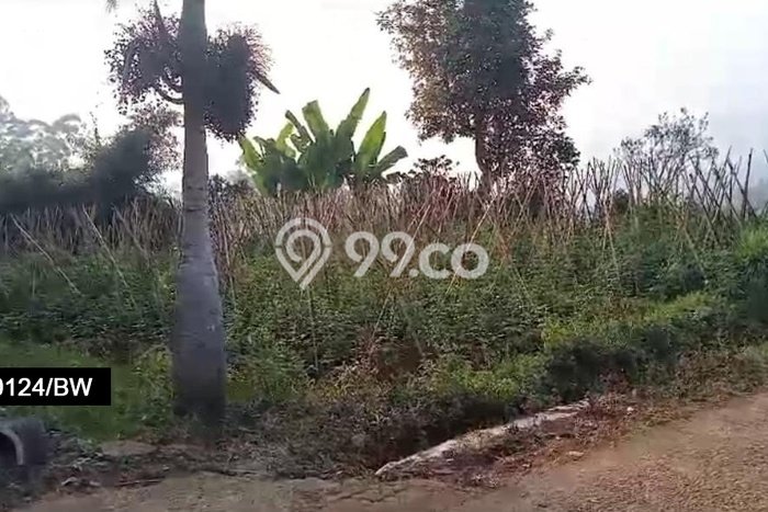 Dijual Tanah di Ciwidey Bandung Luas 2260m2 SHM Dijual Tanah di Ciwidey Bandung Luas 2260m2 SHM