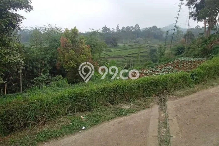 Dijual Tanah di Ciwidey Bandung Luas 2260m2 SHM Dijual Tanah di Ciwidey Bandung Luas 2260m2 SHM