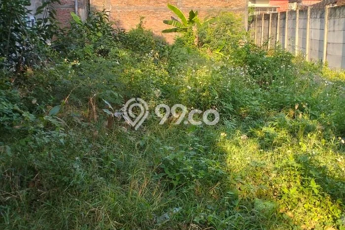 Lahan Disewakan Lokasi Penggaron Semarang Luas 168m2 Lahan Disewakan Lokasi Penggaron Semarang Luas 168m2