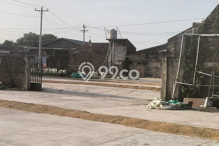 Gudang disewakan di Dempet Demak dengan luas bangunan 420m2 Gudang disewakan di Dempet Demak dengan luas bangunan 420m2