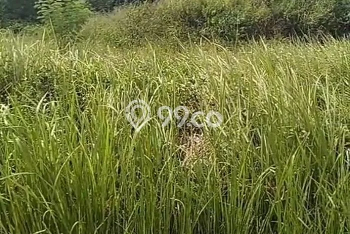 Untuk Dijual Tanah di Semarang, Luas 78m2 SHM Untuk Dijual Tanah di Semarang, Luas 78m2 SHM