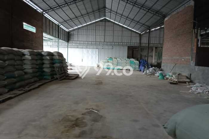 Dijual Gudang di Wonosalam, Demak Harga Penawaran Spesial Dijual Gudang di Wonosalam, Demak Harga Penawaran Spesial