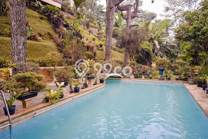 Vila Strategis Kawasan Megamendung, Dimensi 1338m2m², Dekat ke beragam fasilitas Vila Strategis Kawasan Megamendung, Dimensi 1338m2m², Dekat ke beragam fasilitas
