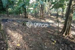 Jarang Ada! Tanah di Cimalaka Punya Luas 5800m2 SHM Jarang Ada! Tanah di Cimalaka Punya Luas 5800m2 SHM