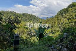 Tanah Kosong Dijual di Minahasa Utara dengan Area 57886m2 Tanah Kosong Dijual di Minahasa Utara dengan Area 57886m2
