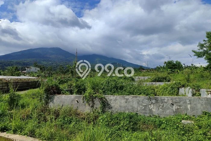 Untuk Dijual Tanah di Bogor, Luas 1200m2 AJB Untuk Dijual Tanah di Bogor, Luas 1200m2 AJB