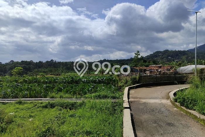 Untuk Dijual Tanah di Bogor, Luas 1200m2 AJB Untuk Dijual Tanah di Bogor, Luas 1200m2 AJB