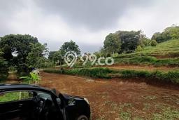 Lahan Kosong Dijual di Bogor dengan Area 5000m2 Lahan Kosong Dijual di Bogor dengan Area 5000m2