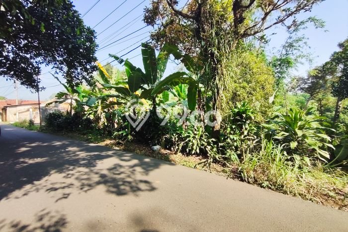 Lahan Investasi Lokasi Cijeruk Bogor SHM Lahan Investasi Lokasi Cijeruk Bogor SHM